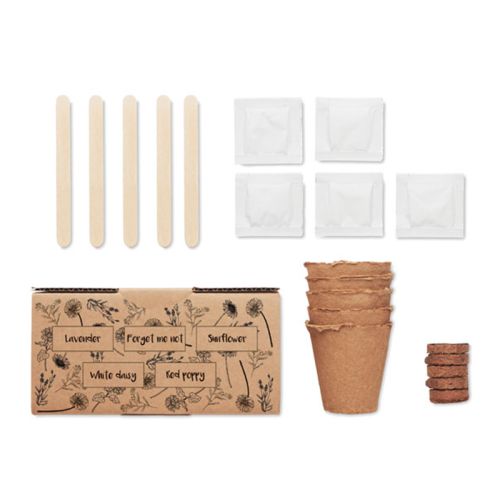 Flowers growing kit - Image 2